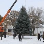 В Приднестровье устанавливают городские елки
