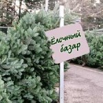 В Приднестровье заработали елочные базары