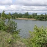 В заповеднике «Ягорлык» ведутся работы по поддержанию нереста рыб