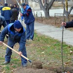 Акция «Посади свое дерево» прошло в Дубоссарах