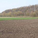 Паевые выплаты вырастут в 2015 году