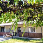 Агропансион «Поята»